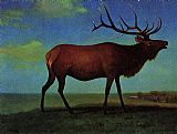 Albert Bierstadt Elk painting